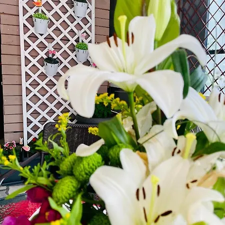 Nisel Seaside Apartamento Paralía