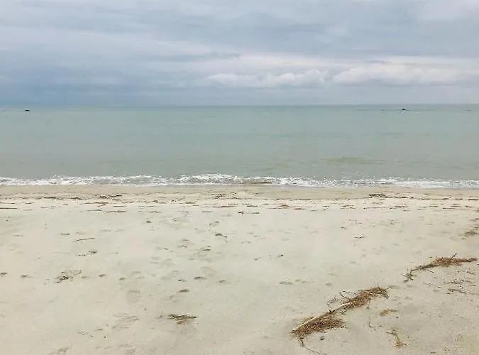 Nisel Seaside *
